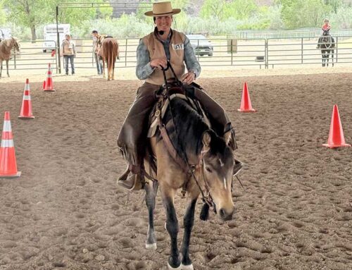 WSCSC Clinic 2025: Be Your Horses Leader!
