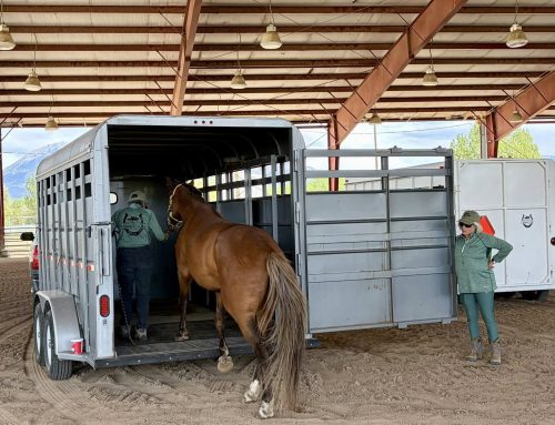 Master the Load: Our 2026 Trailer Loading Clinic Success!