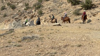 IMG_4251