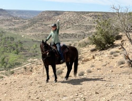 Two Trails, One Perfect Day: Our May Birthday Ride Adventure