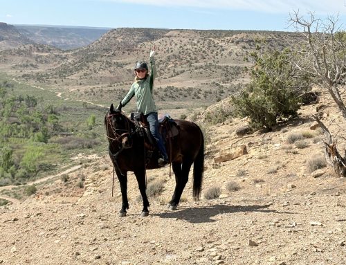 Two Trails, One Perfect Day: Our May Birthday Ride Adventure