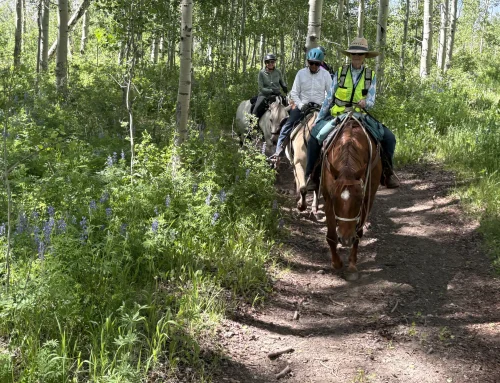 Arena Lake Ride